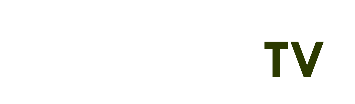 hải dương